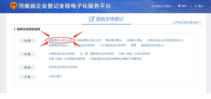 (河南省注冊分公司流程辦理選擇有限責(zé)任分公司注冊