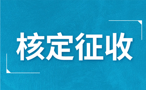 江西大額個(gè)體戶核定征收標(biāo)準(zhǔn)，2024年最新政策